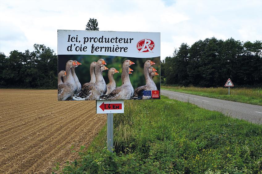 Foie gras sign