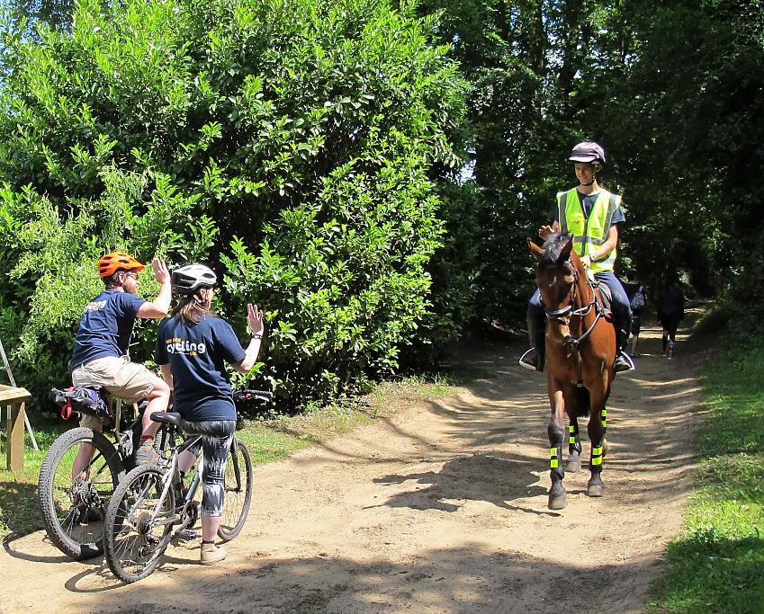 Two cyclists stop for a horse rider