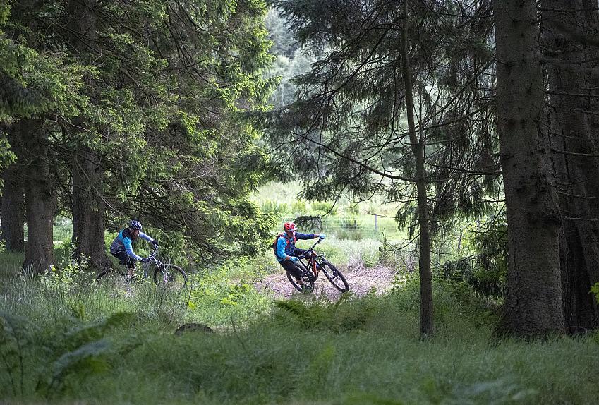 Two mountainbiker riding through Kielder Forest. Photo Joolze Dymond / Cycling UK