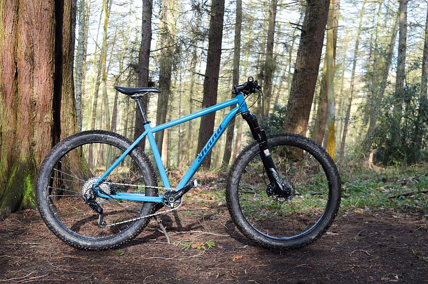 A sky blue mountain bike propped up in a field; it's got flat bars and fat tyres