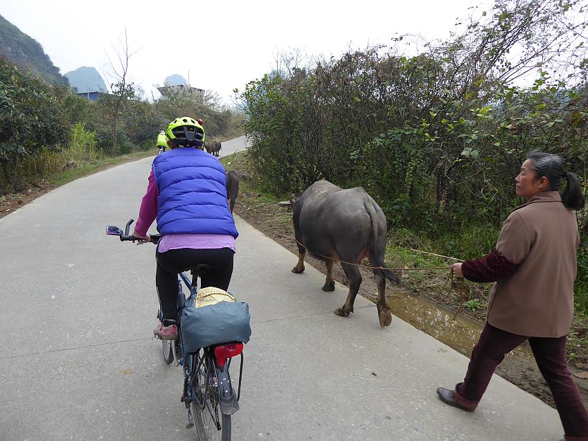 Day ride near Yangshuo