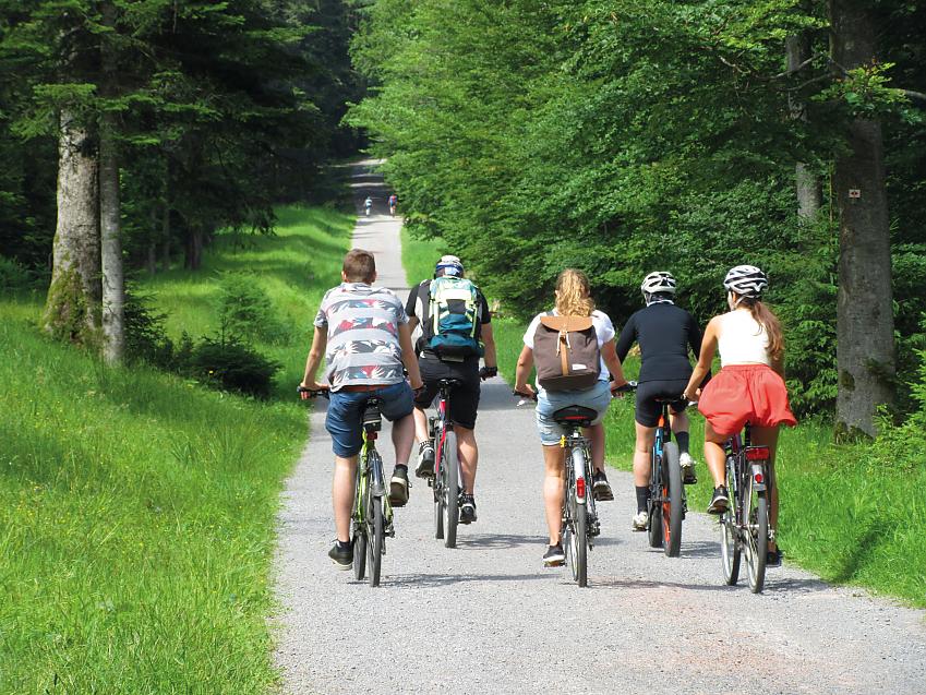 A group of cyclists enjoying the forest trails