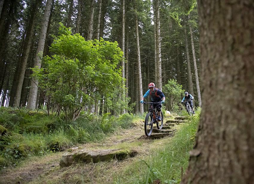 Two mountain bikers riding down stone steps on a forest trail