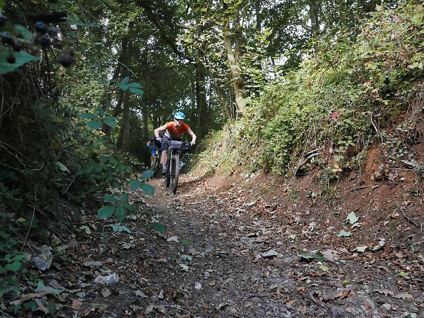 Woman riding a mountain bike down a rocky path lined with trees