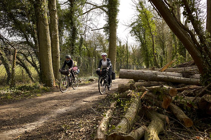 Two women riding bikes along a forest track