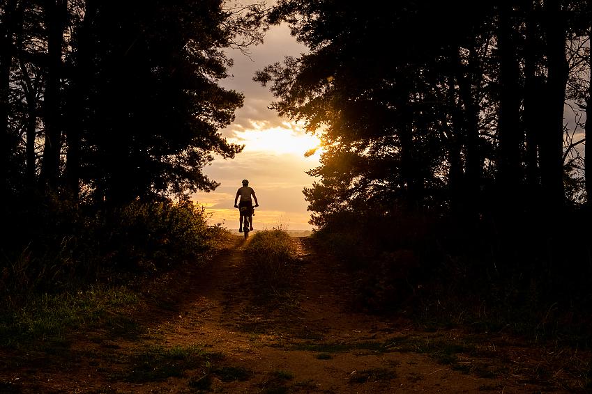 Person cycles through a gap in some trees, silhouetted against a sunset sky