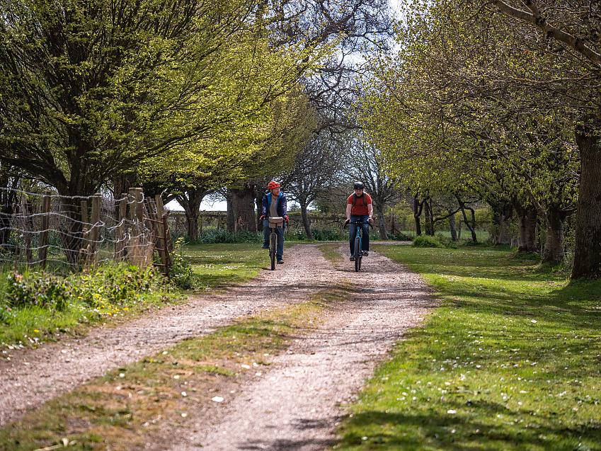 Two people ride along a gravel track through a wide avenue of trees