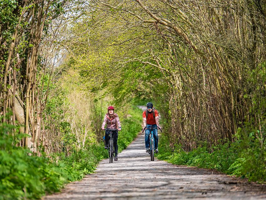 Two people cycling along a woodland track with tree branches arching overhead