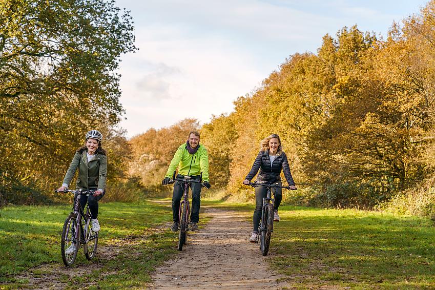 Three people cycle along a woodland trail among autumn colours