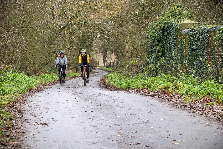 Two people cycling along a tree lined lane in winter