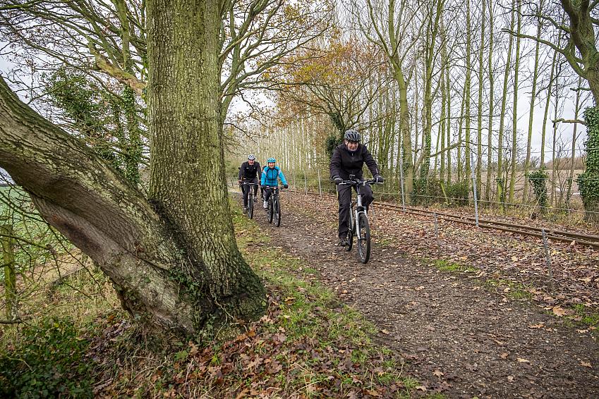 People cycling along a disused railway line with bare winter trees either side