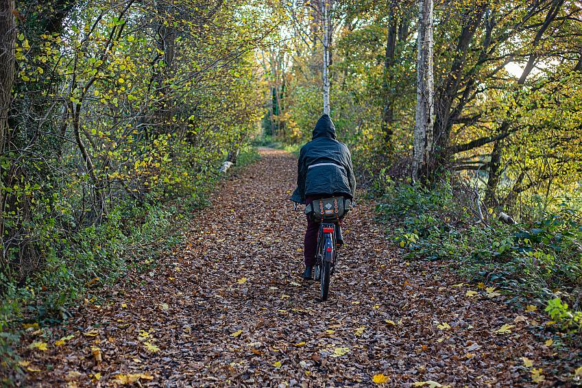 A man cycling on a leaf-covered forest trail