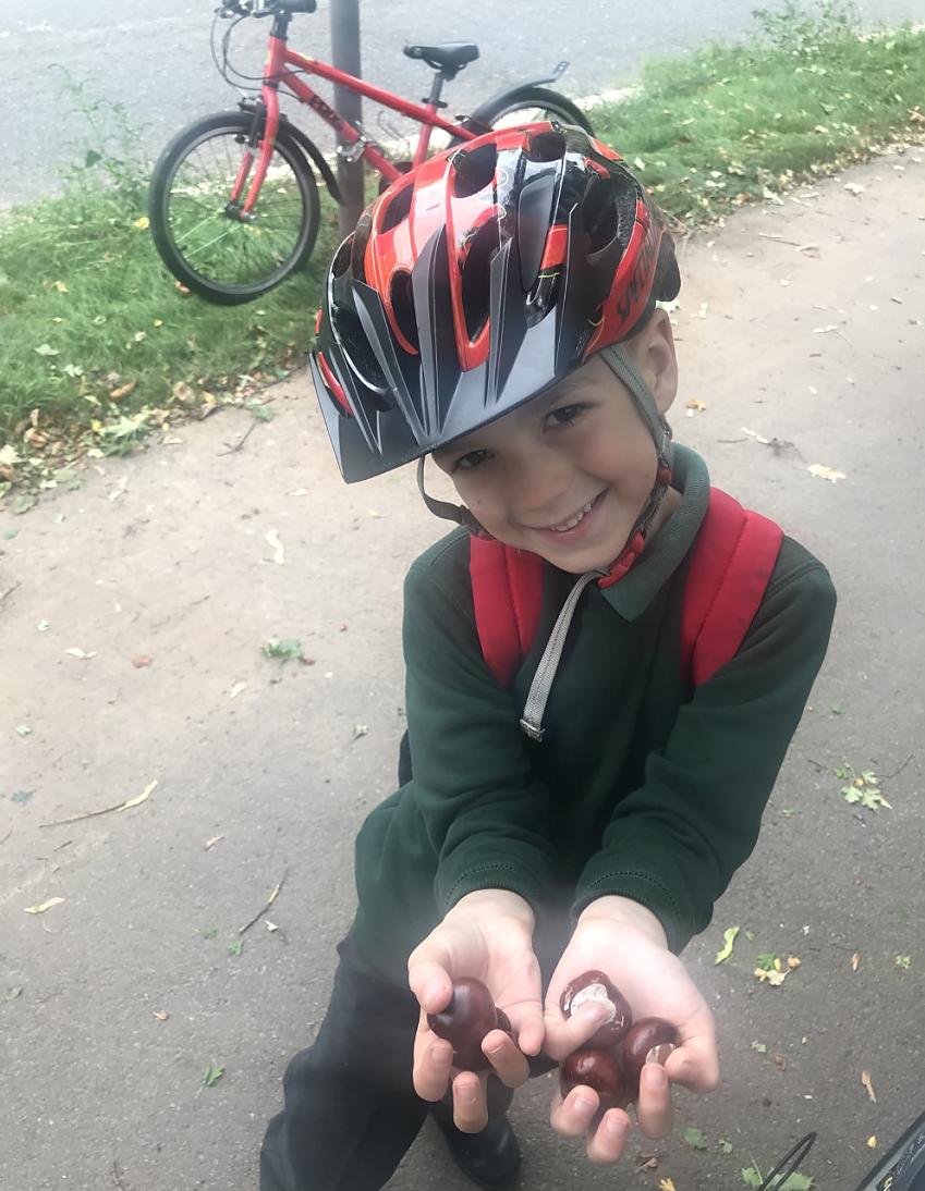 A young boy is smiling at the camera and holding out handfuls of conkers. He looks like he's wearing school uniform, he has a cycle helmet on and in the background his red Frog bike is leaning against a pole