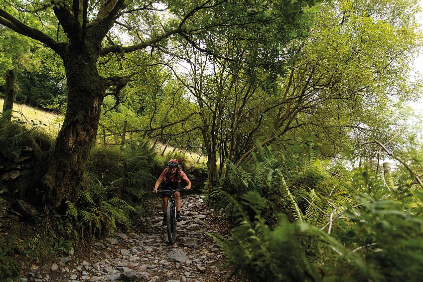 A woman is riding downhill on a mountain bike on a rocky trail through a forest
