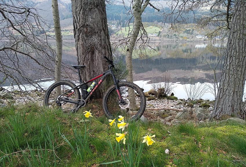 Brendan's mountain bike against a tree with Loch Ness in the background