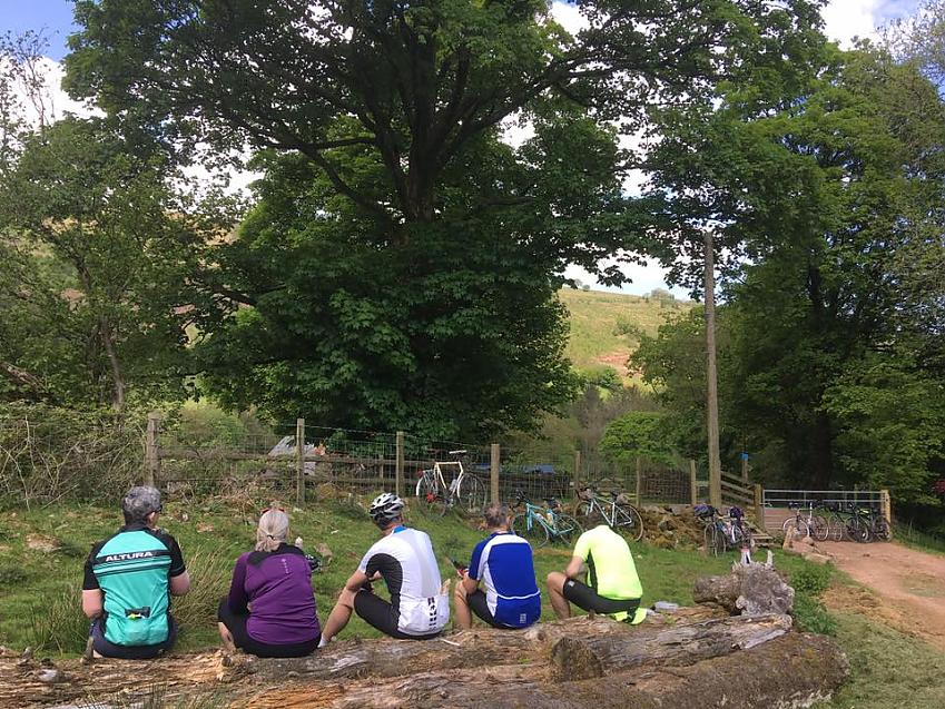 Five cyclists are sitting on a fallen tree trunk, with their backs to the camera. They're all wearing cycling-specific clothing. Their bikes are leaning against a fence, a gate and a wall in the background