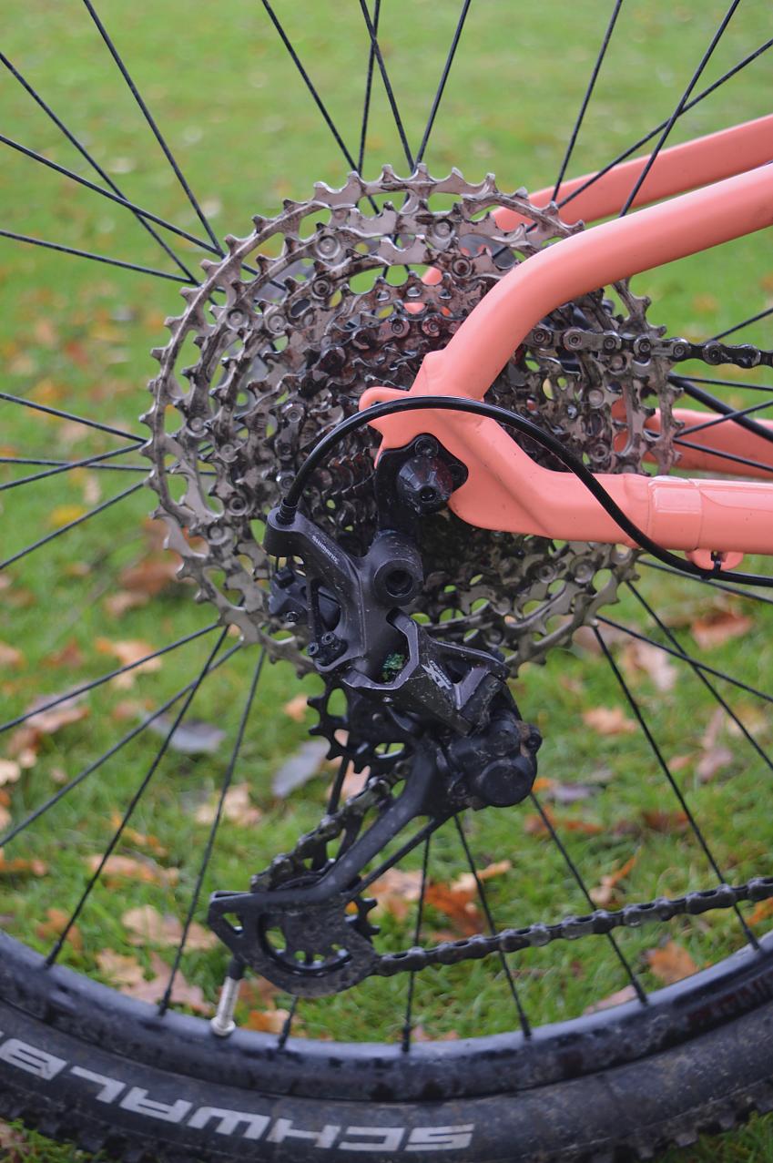 A close-up of the rear gear hub on a mountain bike