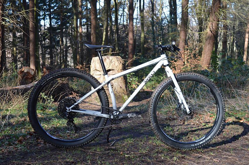 A white mountain bike is propped up on a forest trail