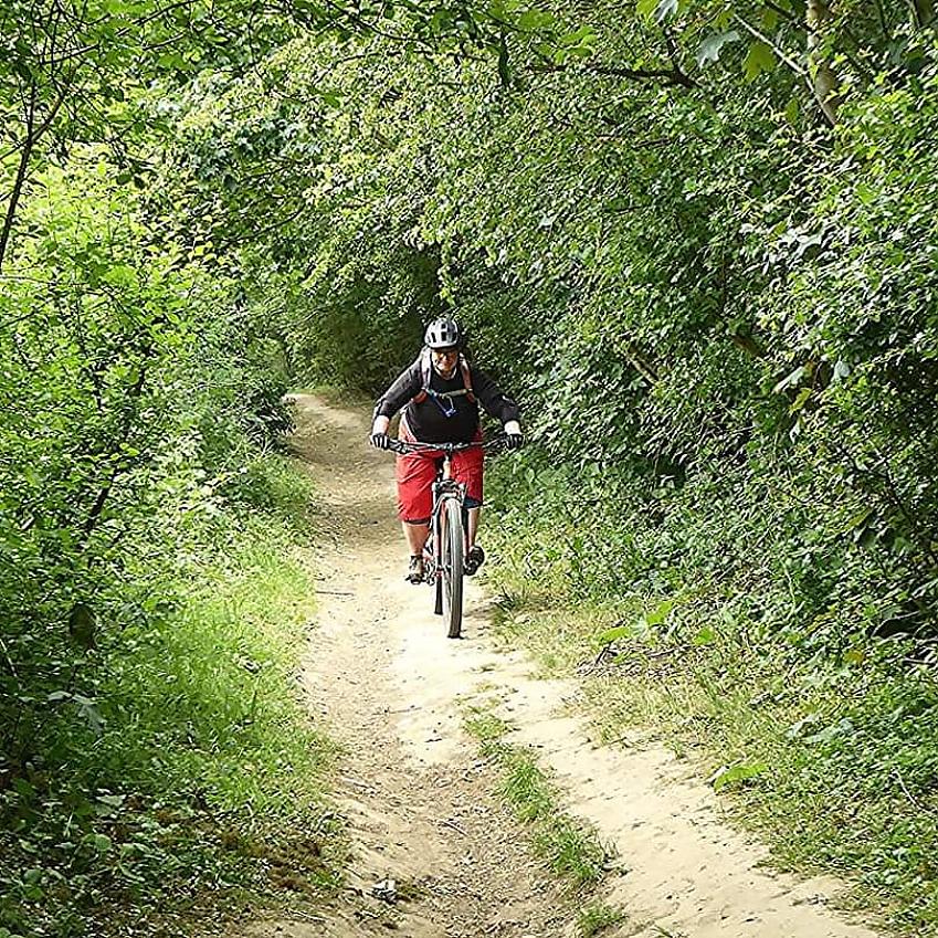 Elaine Croot cycling towards the camera on a forest path