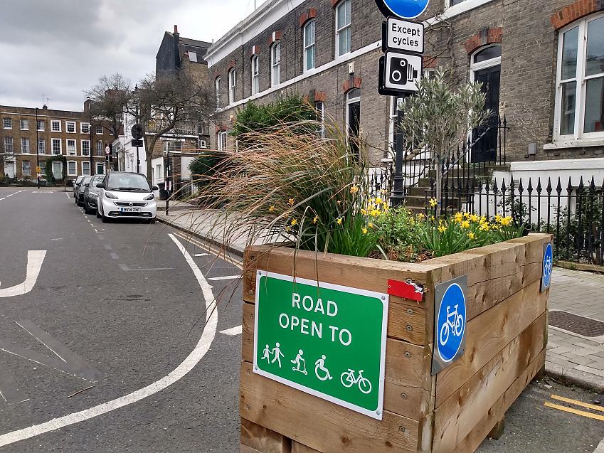 A residential urban street which has been blocked off to through traffic with planters containing daffodils. They also sport signs saying the road is open to walking, cycling, scooting and wheeling