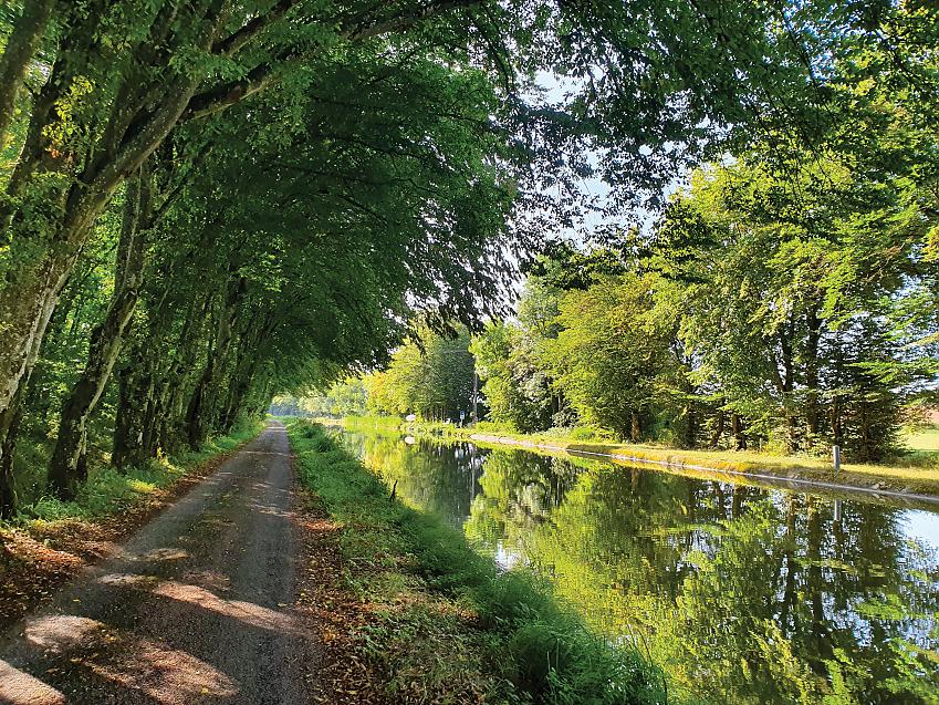 A landscape shot of Canal de la Marne à la Saône in France. There is a cycling and walking track to the left, with the canal to the right; both sides are lined with trees