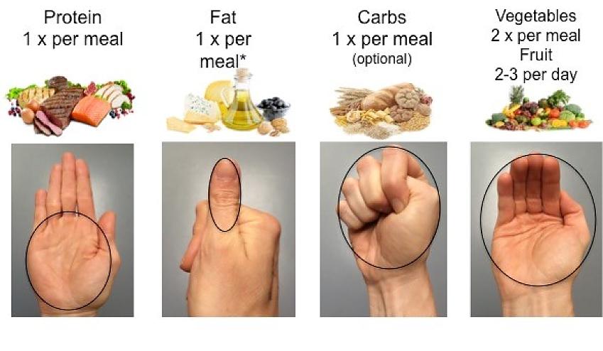 A demonstration of portion size for protein, fats, carbs and vegetables using hand sizes