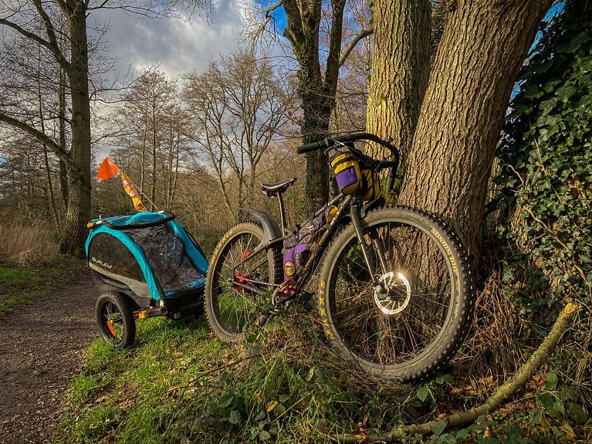 A mountain bike with a child trailer rests against a tree that is next to a path