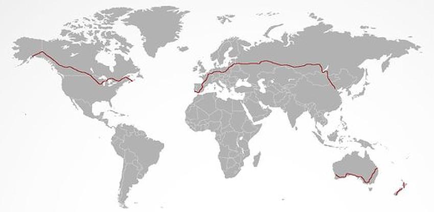 Helen’s route around the world