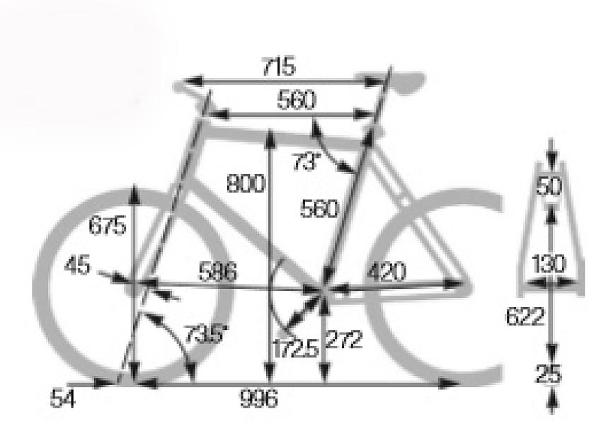 An illustration showing the dimensions of the Shand Skinnymalinky steel road bike