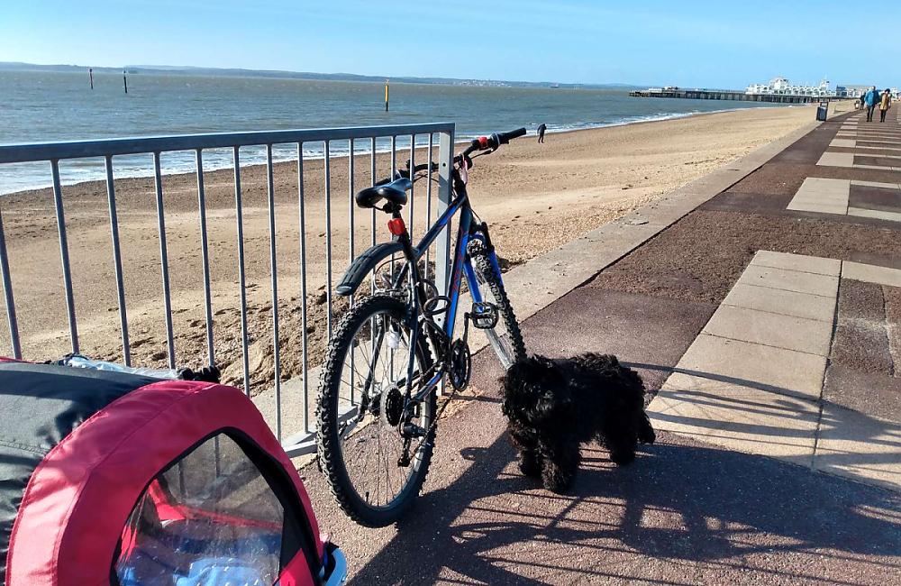 A bike leant against railings at the beach with a small dog sat on the floor and a child buggy behind the bike