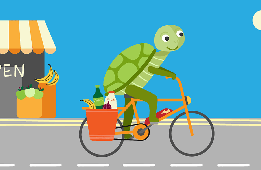 Illustration of Tortoise going shopping by bike